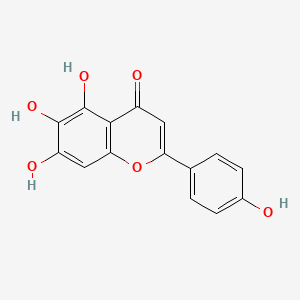  Scutellarein 